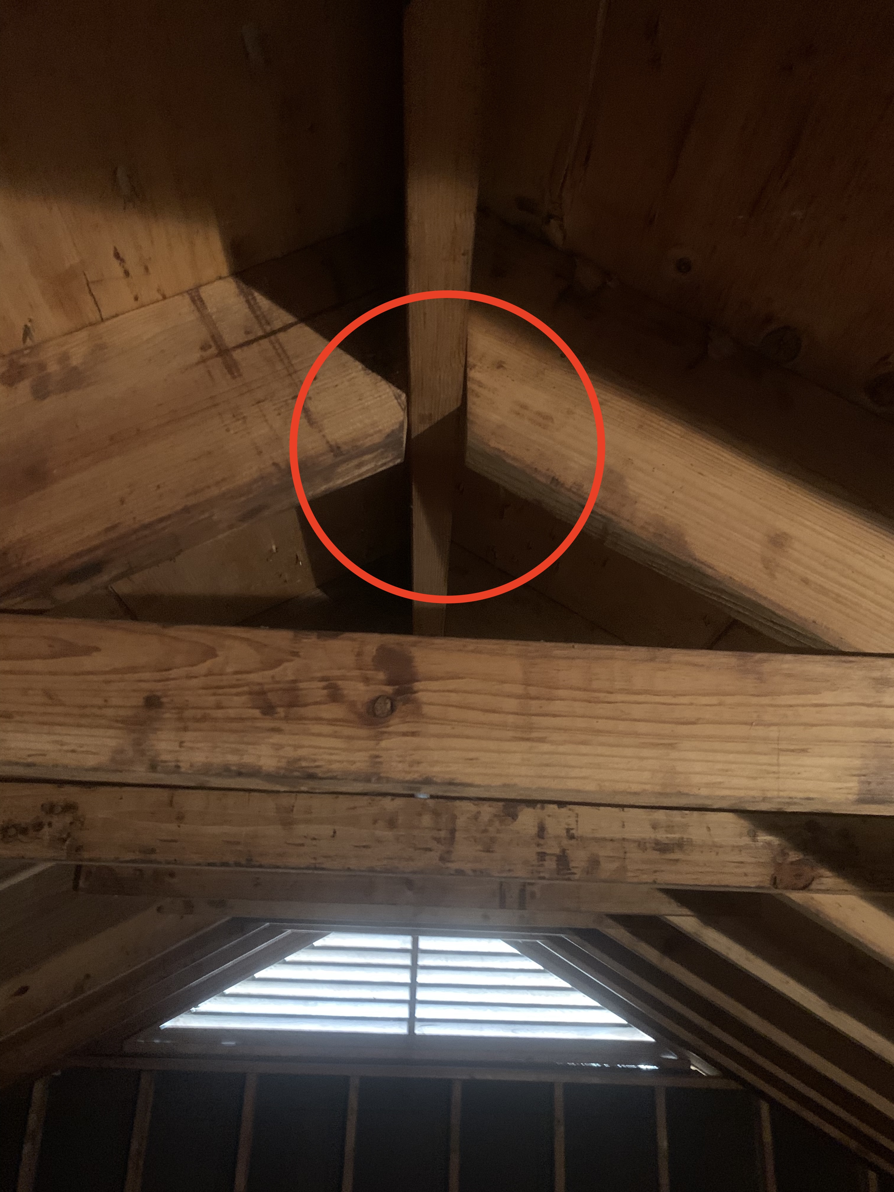 Attic inspection
