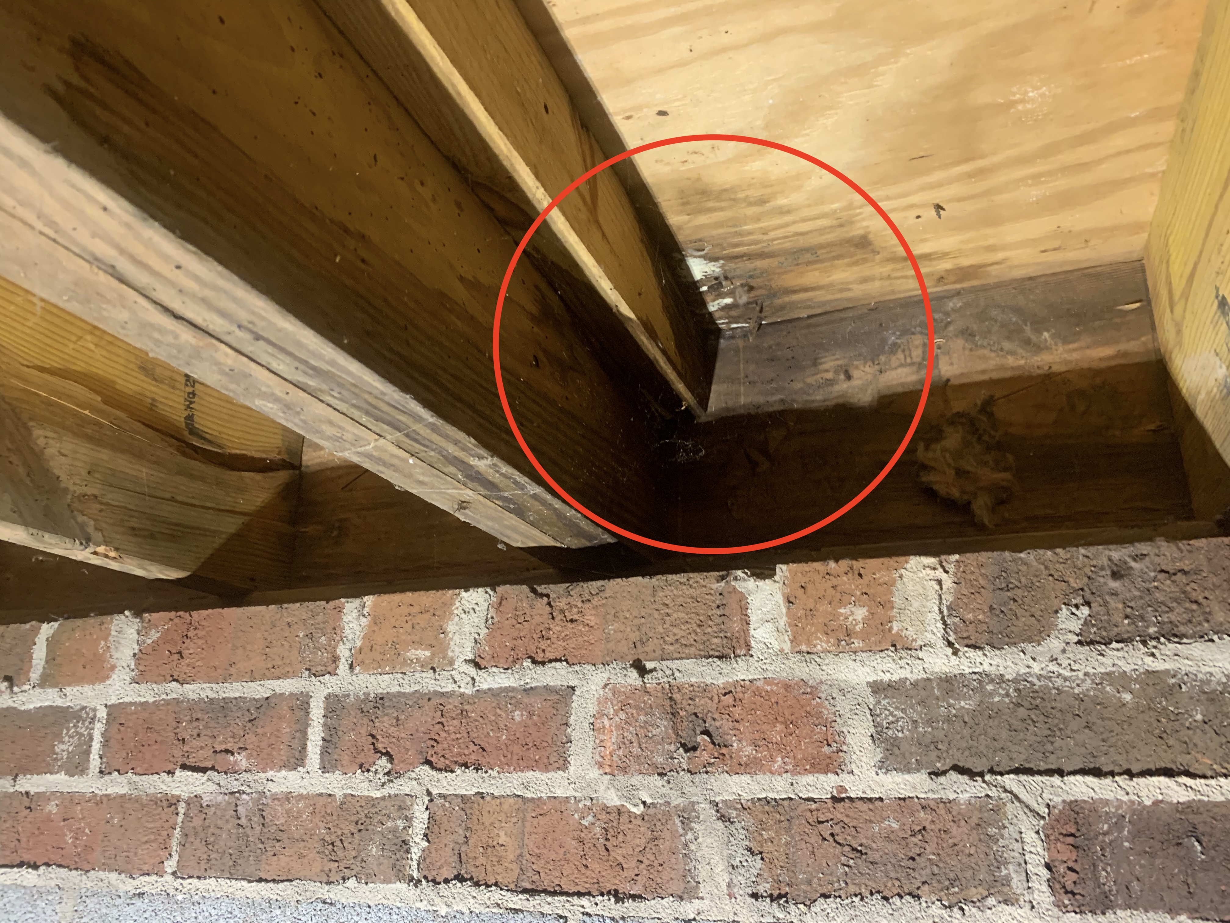 Roof inspection